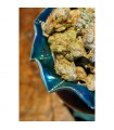 Somalicious - Soma Seeds