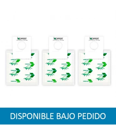20 sobres Amblyseius Swirskii 250 (Trip, Mosca Blanca, Acaros) (SOLO BAJO PEDIDO)