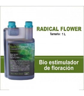 Radical Flower 1 lt. Trabe