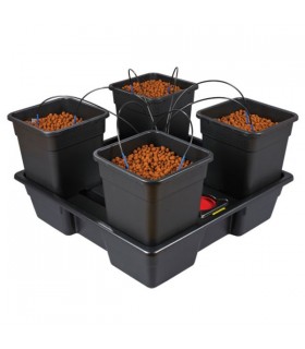 Equipo Hidroponico Wilma V2 XL  4 x 25 l  48/72 h.