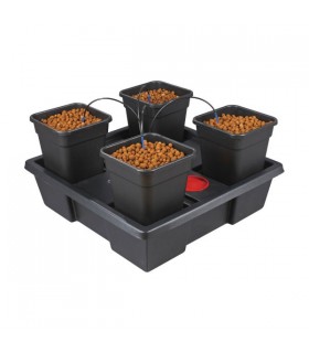 Equipo Hidroponico Wilma V2 Large  4 x 11 l  48/72 h.