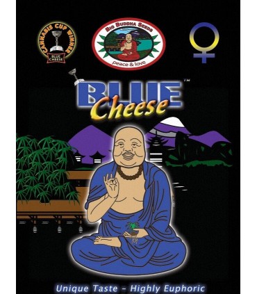 Blue Cheese - Big Buddha Seeds