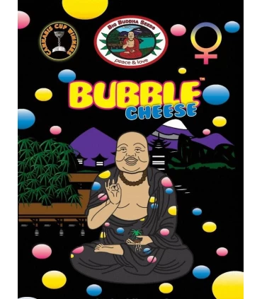 Bubble Cheese - Big Buddha Seeds