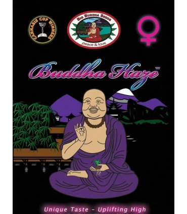Buddha Haze - Big Buddha Seeds