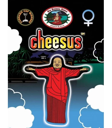 Cheesus - Big Buddha Seeds