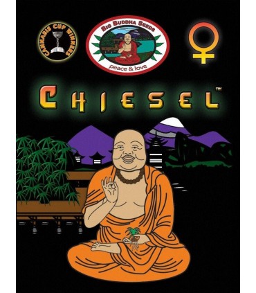Chiesel - Big Buddha Seeds