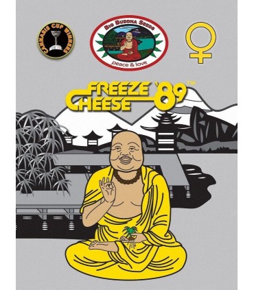 Freeze Cheese 89 - Big Buddha Seeds