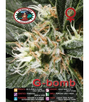 G-Bomb - Big Buddha Seeds