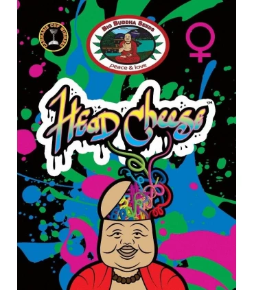 Head Cheese - Big Buddha Seeds