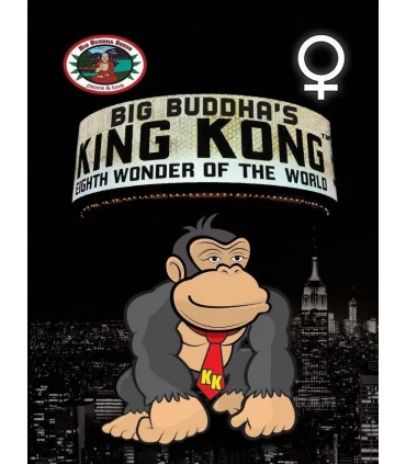 King Kong - Big Buddha Seeds