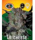 LA Cheese - Big Buddha Seeds