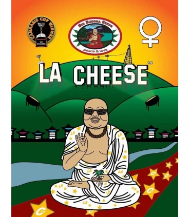 LA Cheese - Big Buddha Seeds