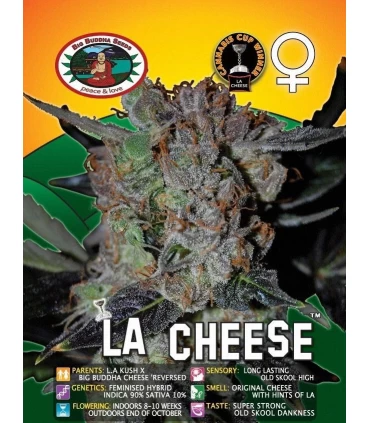 LA Cheese - Big Buddha Seeds