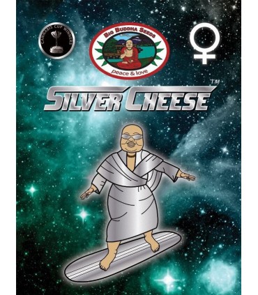 Silver Cheese - Big Buddha Seeds
