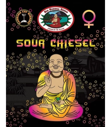Sour Chiesel - Big Buddha Seeds
