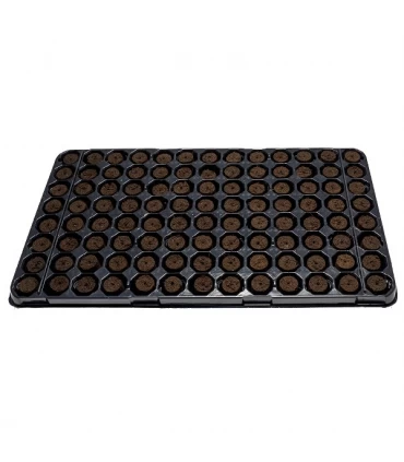Caja de bandejas Plugin Pro Xtract 21 mm. 104 Alveolos (8 Bandejas)