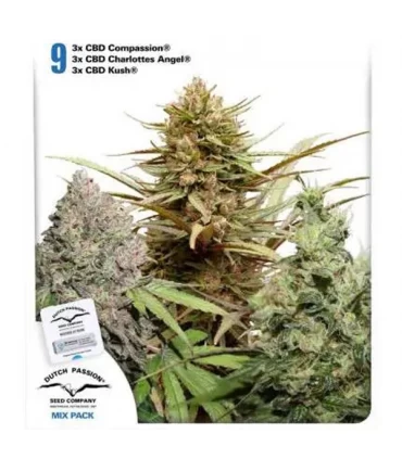 CBD Mix fem. Dutch Passion - Kayamurcia.es