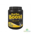 Karbo Boost - Green Planet Nutrients.