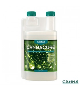 Canna Cure - Canna - Kayamurcia.es