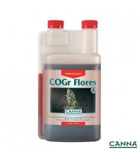 Cogr Flores A & B - Canna - Kayamurcia.es