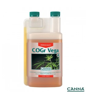 Cogr Vega A & B - Canna - Kayamurcia.es