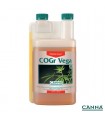 Cogr Vega A & B - Canna.
