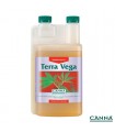 Terra Vega - Canna.