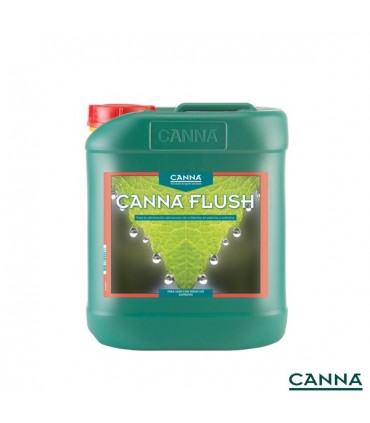 Canna Flush - Canna - Kayamurcia.es