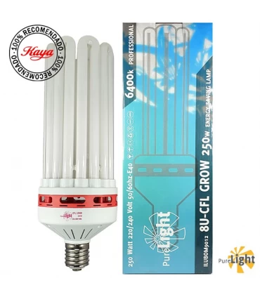 CFL Pure Light - Crecimiento 