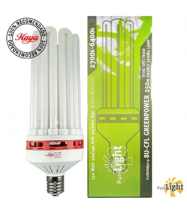 CFL Pure Light - Dual 
