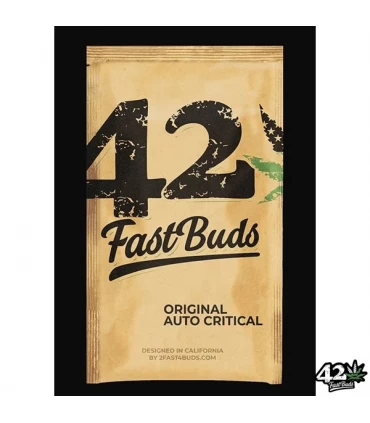 Auto Critical - FastBuds - Kayamurcia.es