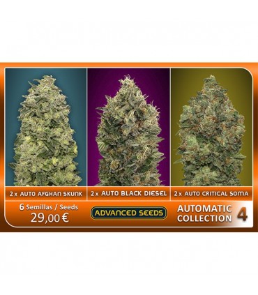 Automatic Collection n4 - Advanced Seeds
