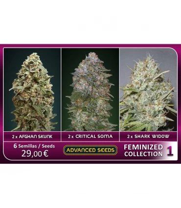 Feminized Collection n1 - Advanced Seeds