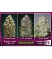 Feminized Collection n1 - Advanced Seeds