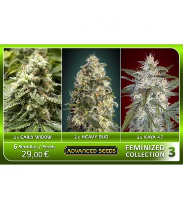 Feminized Collection n3 - Advanced Seeds
