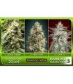 Feminized Collection n3 - Advanced Seeds