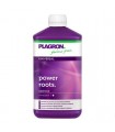 Power Roots  1 lt. Plagron