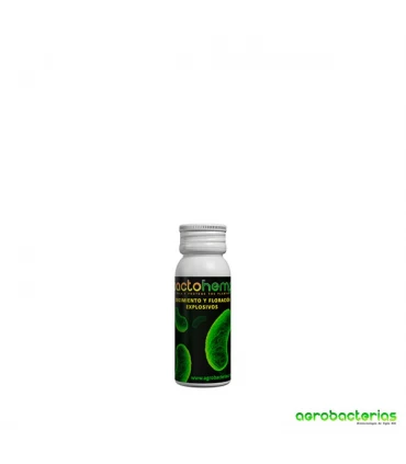 Bactohemp - Agrobacterias  - Kayamurcia.es