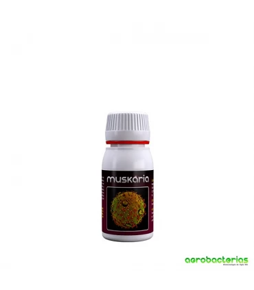 Muskaria - Agrobacterias  - Kayamurcia.es