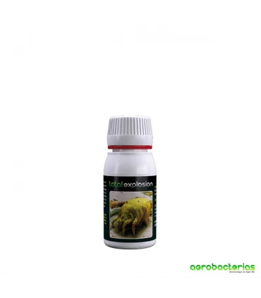 Total Explosion - Agrobacterias  - Kayamurcia.es
