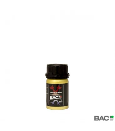 Final Solution - BAC - Kayamurcia.es
