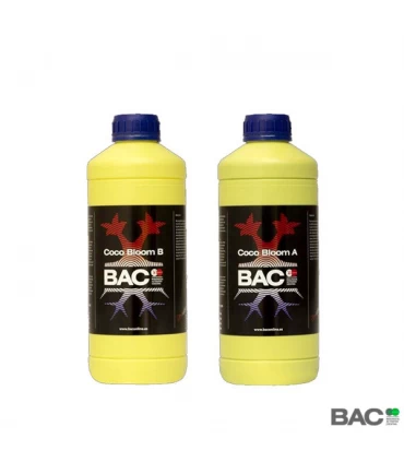 Kit Coco Bloom A&B - BAC - Kayamurcia.es