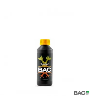 Yuccah - BAC - Kayamurcia.es