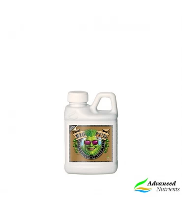 Big Bud COCO - Advanced Nutrients - Kayamurcia.es