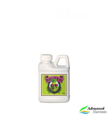 Big Bud - Advanced Nutrients - Kayamurcia.es