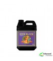 Sensi Bloom B - Advanced Nutrients.