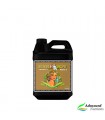 Sensi Grow COCO A - Advanced Nutrients.