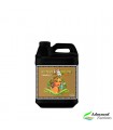 Sensi Grow COCO B - Advanced Nutrients.