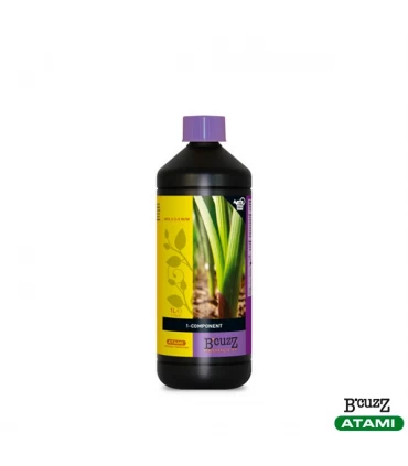 1 - Componente - Atami B'cuzz - Kayamurcia.es
