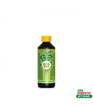 Alga C - Atami NRG - Kayamurcia.es